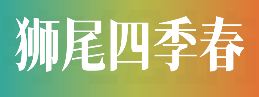 狮尾四季春