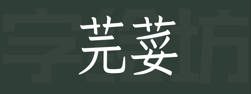 芫荽