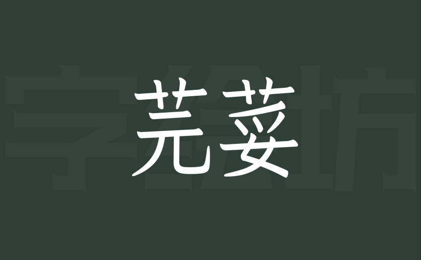 芫荽