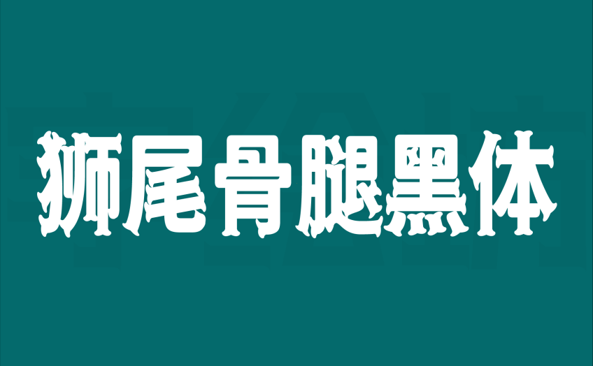 狮尾骨腿黑体