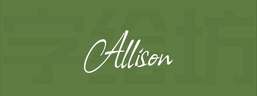 Allison：一款Robert Leuschke设计的随意手写免费可商用英文字体